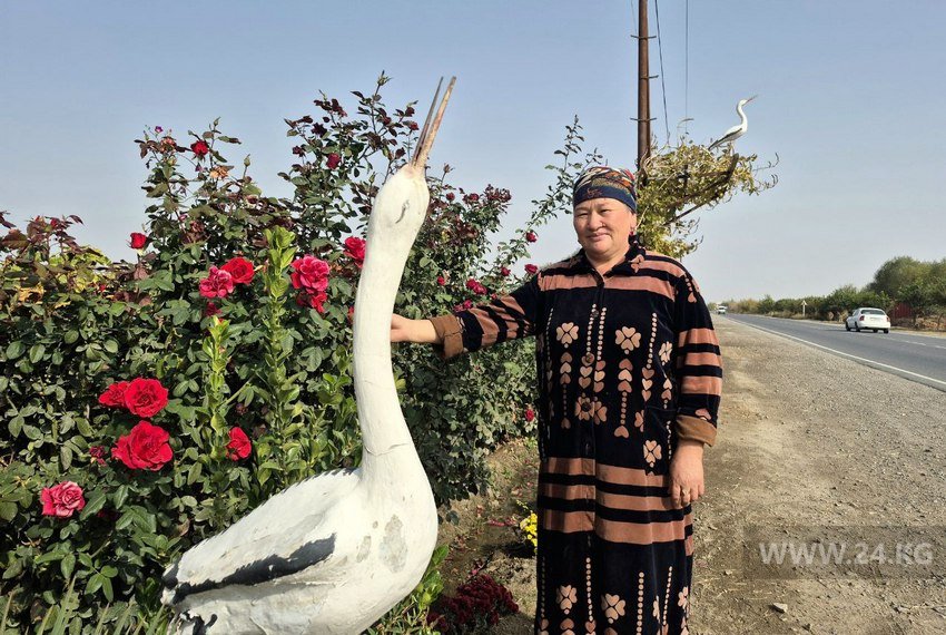 Болдукан эже и ее аисты