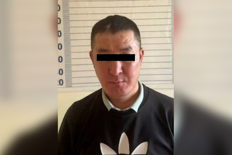 «Охотник на семечки» вскрыл машину ради пакетов «Джина»