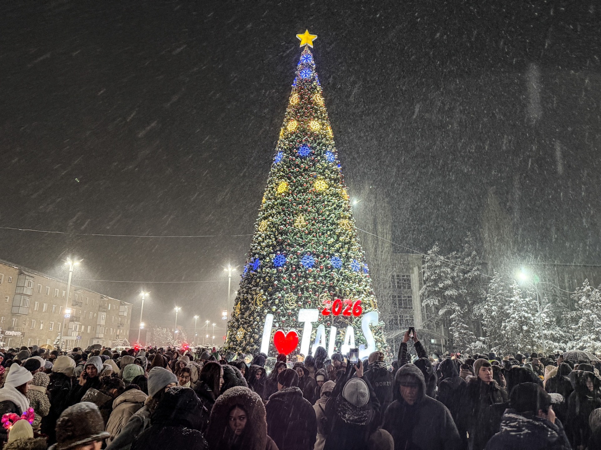 В Таласе зажгли новогоднюю елку