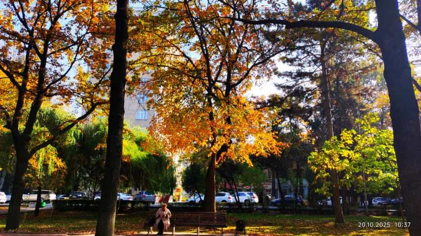 Осень на бульваре Эркиндик