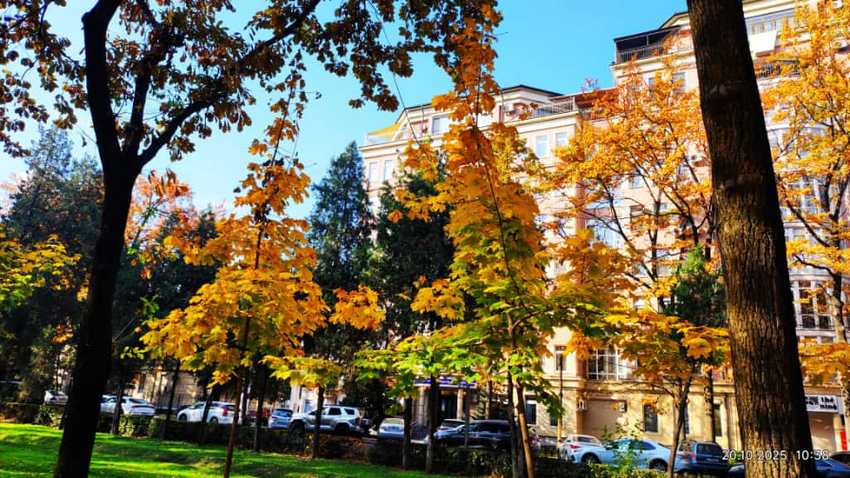 Осень на бульваре Эркиндик