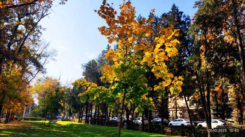 Осень на бульваре Эркиндик