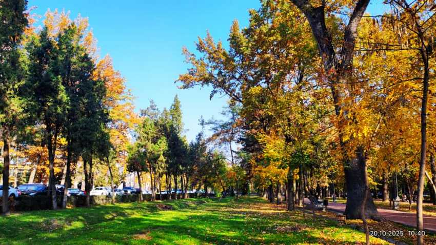 Осень на бульваре Эркиндик