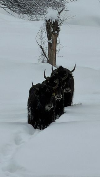 Ущелье Мурдаш
