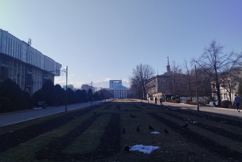 Бишкек, Аллея молодежи 2 февраля 2026 года