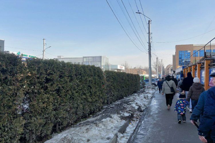 Экологи считают, что уничтожение кустарников нанесет Бишкеку серьезный урон