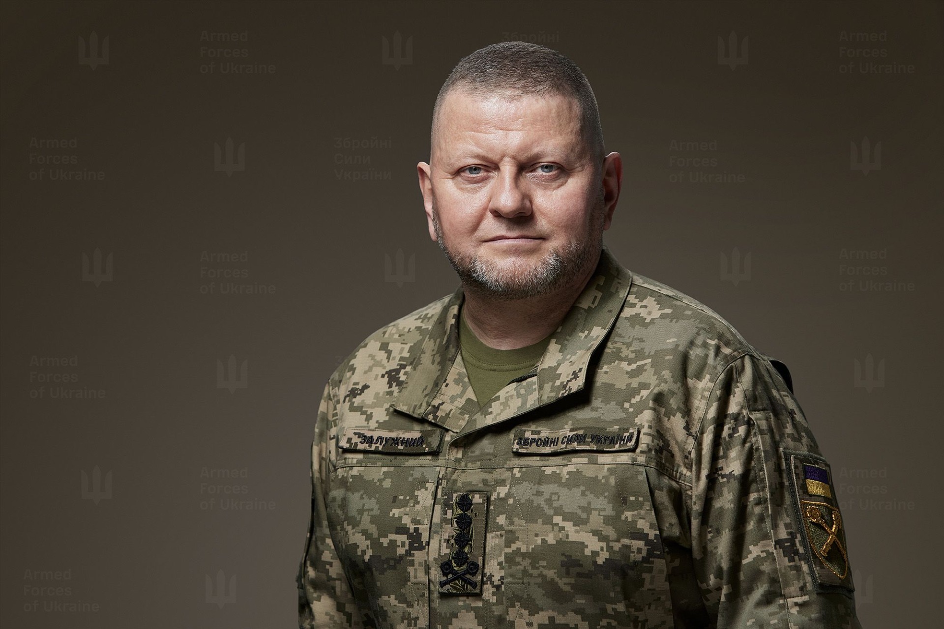 Валерий Залужный