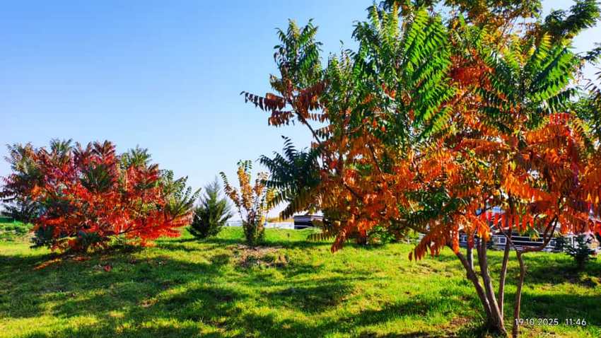 Бишкек, октябрь 2025 года