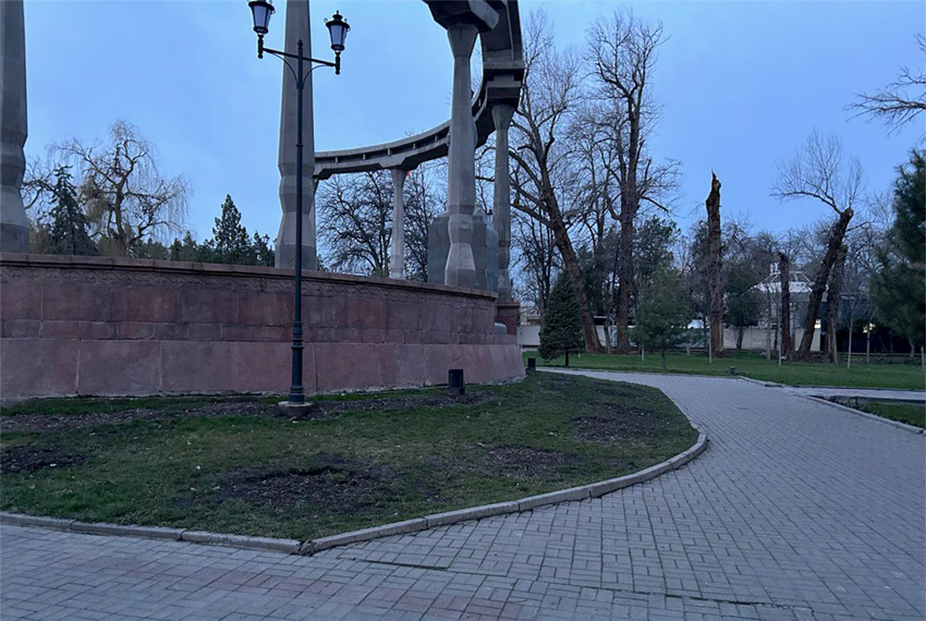 ...нет кленов