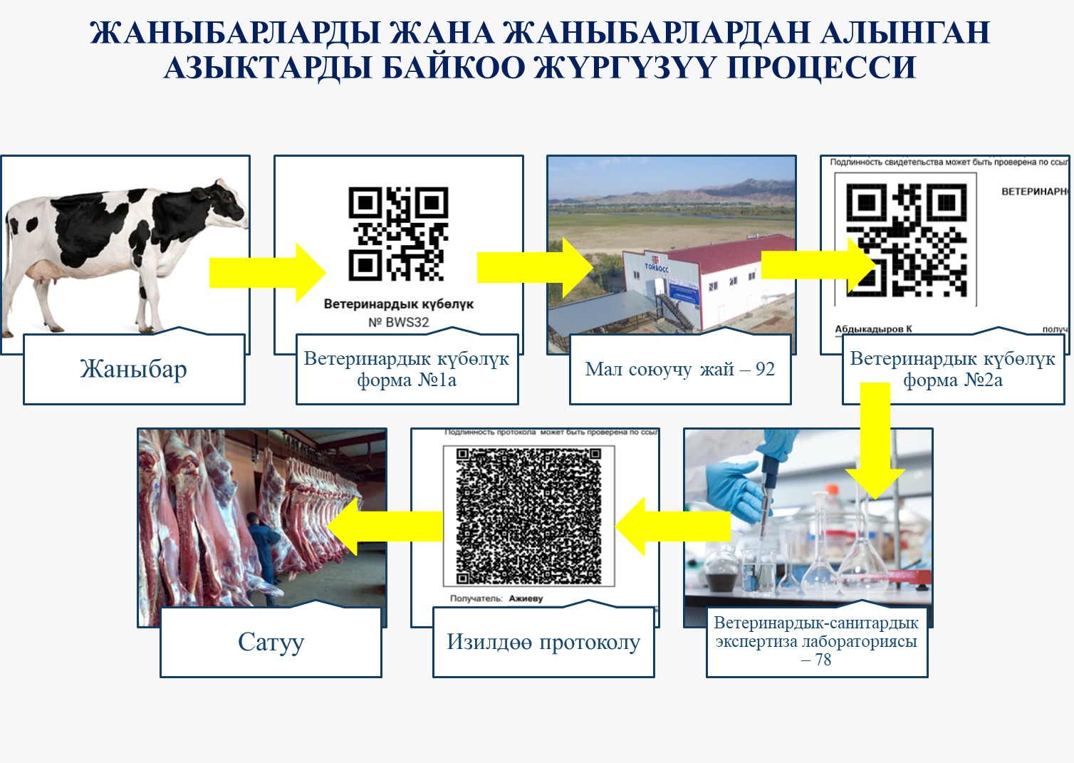 Путь мясной продукции через систему СИОЖ