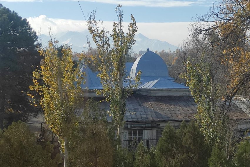 Вот так когда-то было зелено