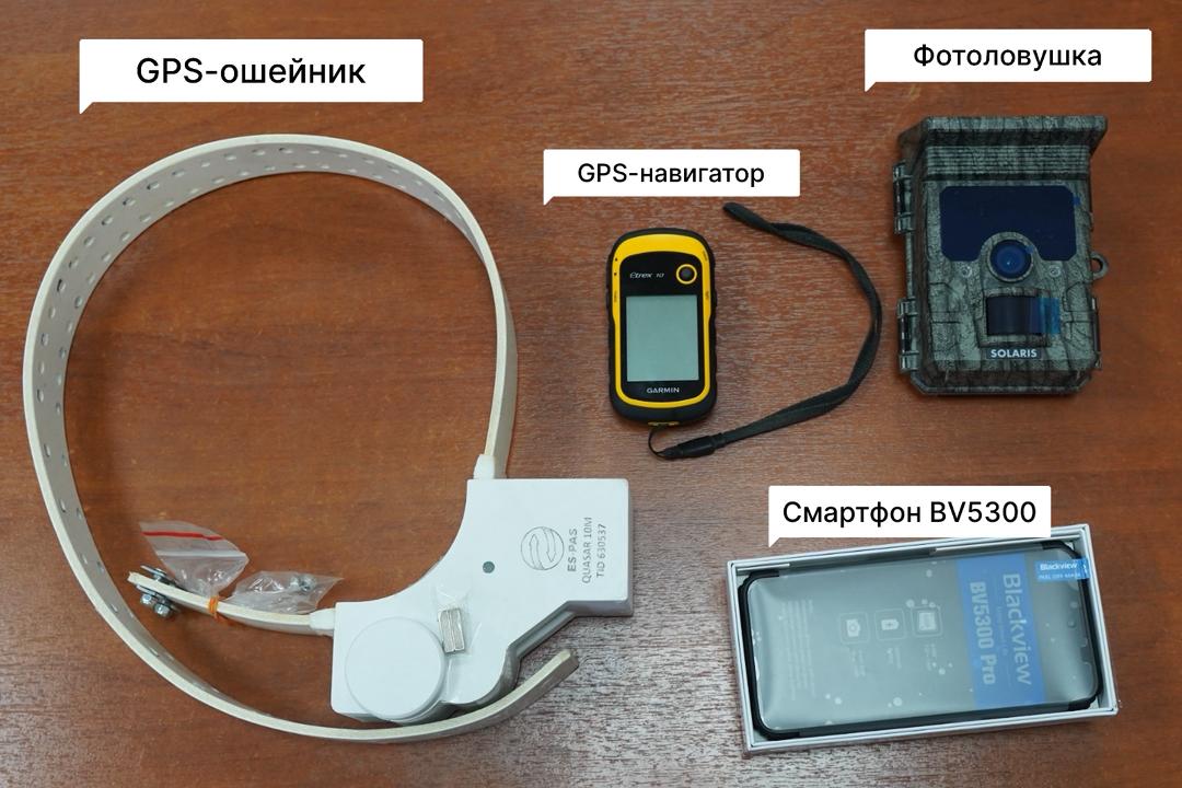 Оборудование для мониторинга дикой природы