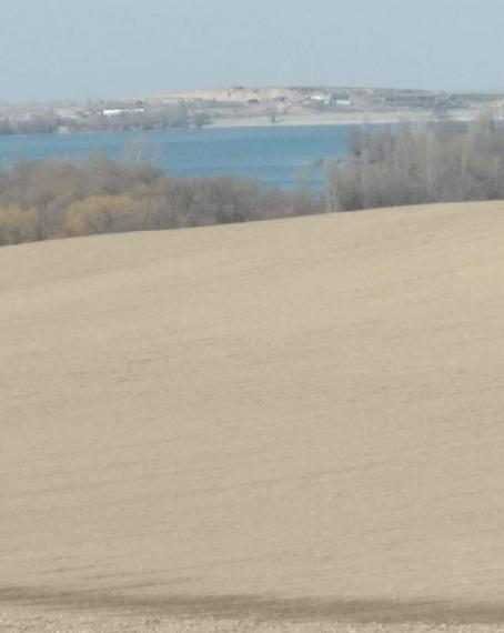 Нива Золотой долины, Аламединский район