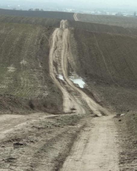 Нива Золотой долины, Аламединский район