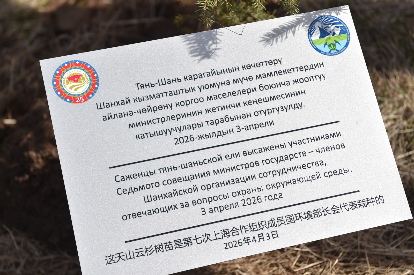 Завершилось Седьмое совещание ШОС по вопросам охраны природы