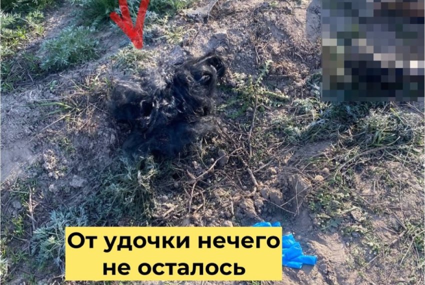 Удочка мгновенно оплавилась