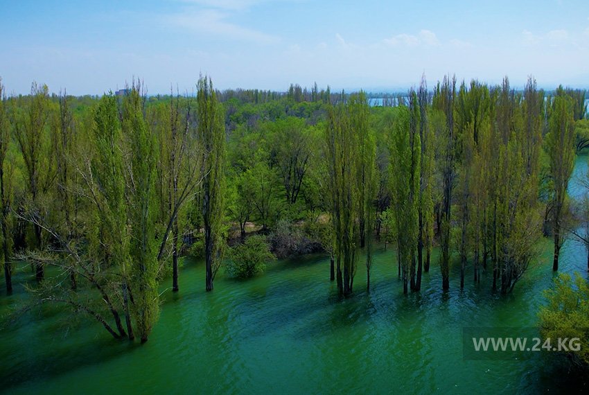 Ала-Арчинское водохранилище