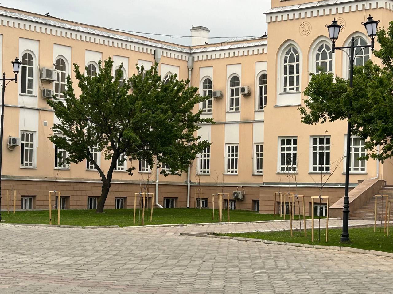 У здания Минкультуры о саженцах позаботились