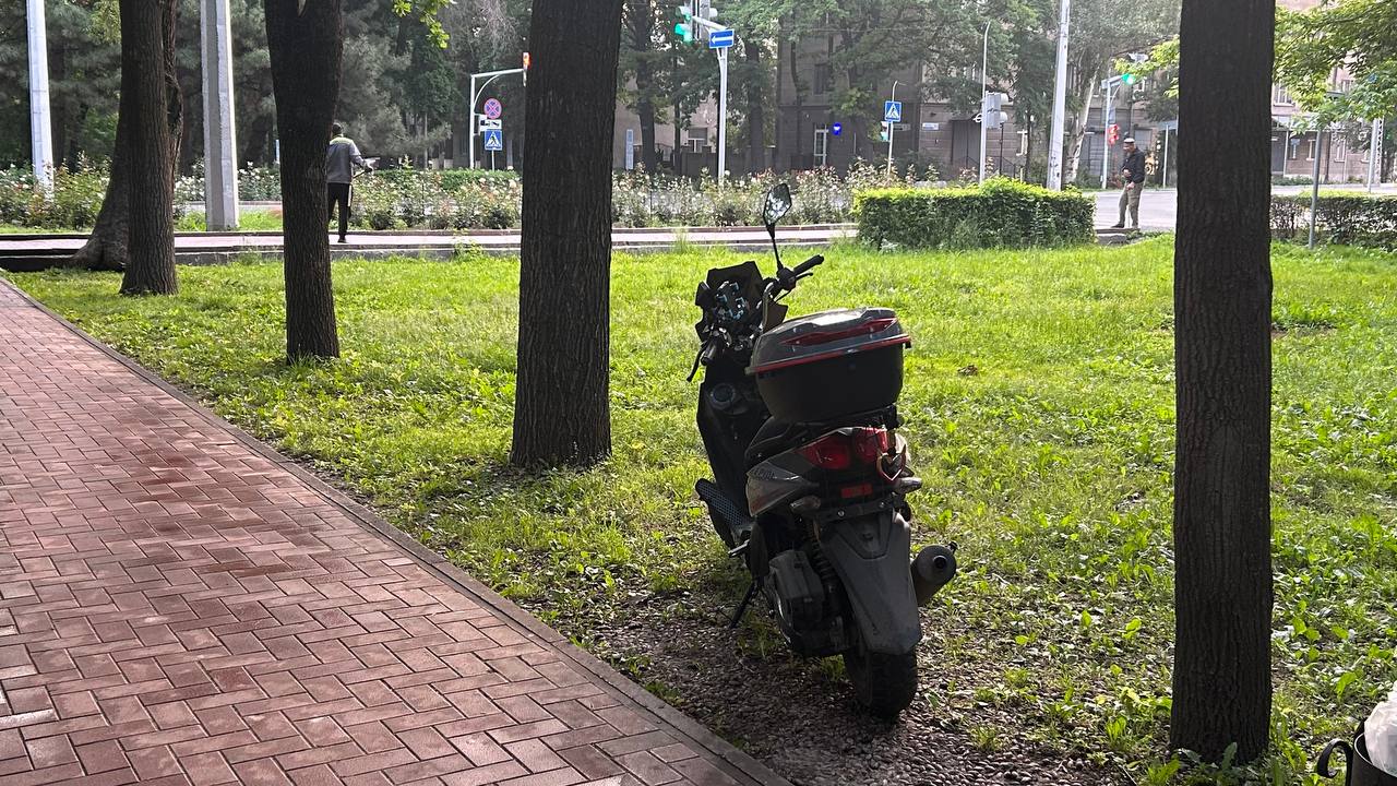 Паркуются прямо на газоне