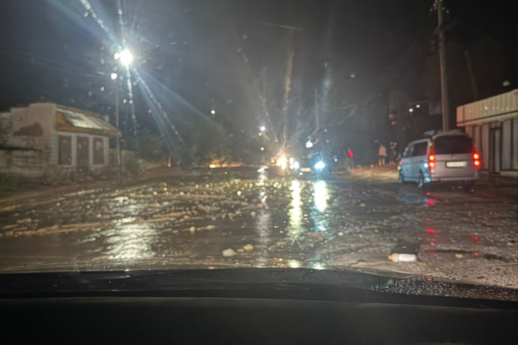 Селевые потоки