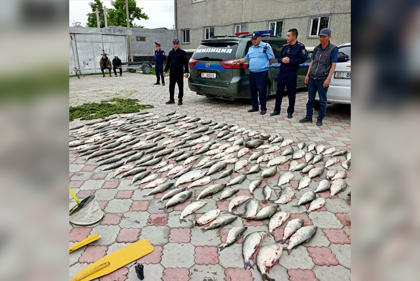 Браконьерство