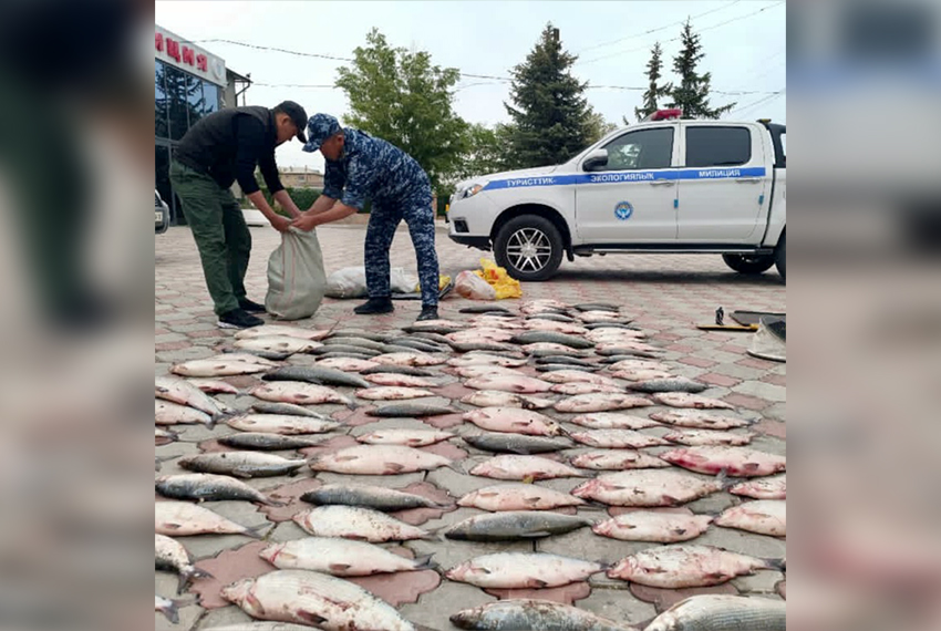 Браконьерство