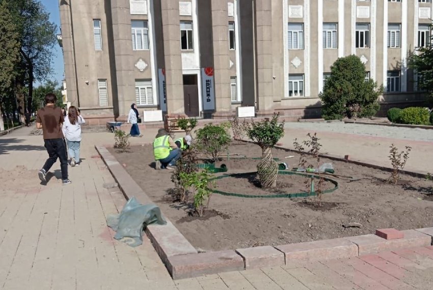Красивый розарий выкорчевали и теперь сажают кустарники