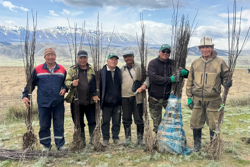 В четырех районах высадили более 400 тысяч саженцев