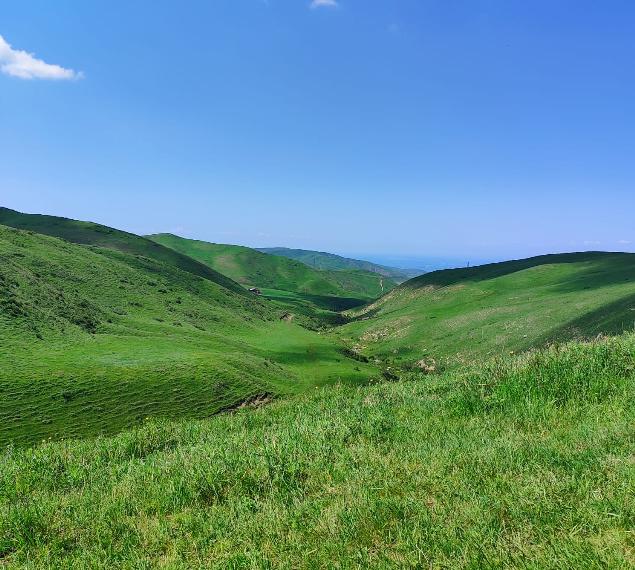 Изумрудные пейзажи Чуйской долины
