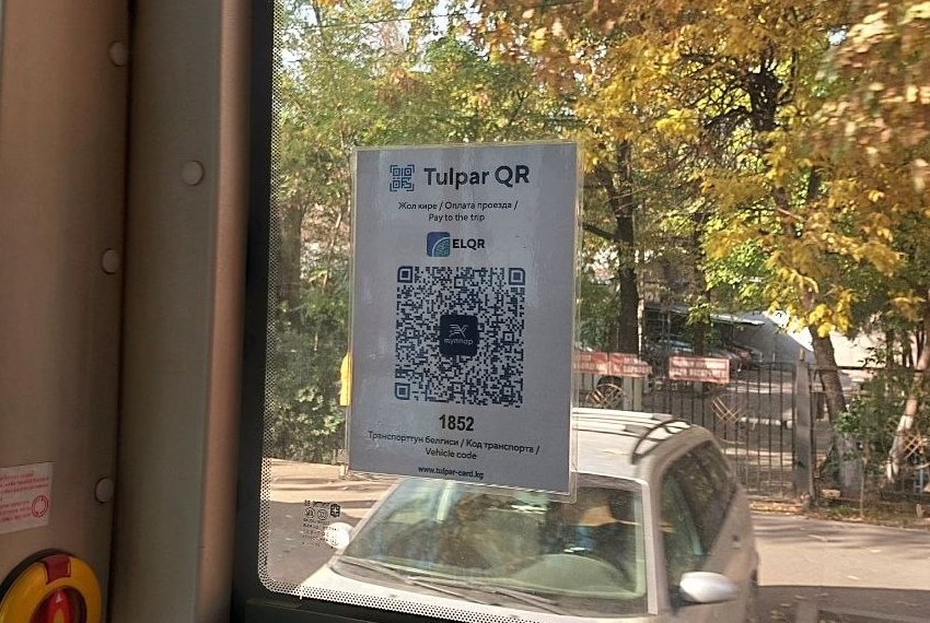 QR-оплата популярна больше среди молодежи