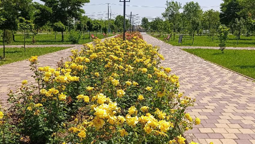Бишкек, парк «Ынтымак»