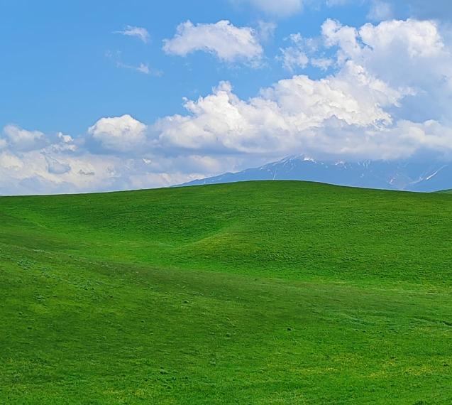 Изумрудные пейзажи Чуйской долины