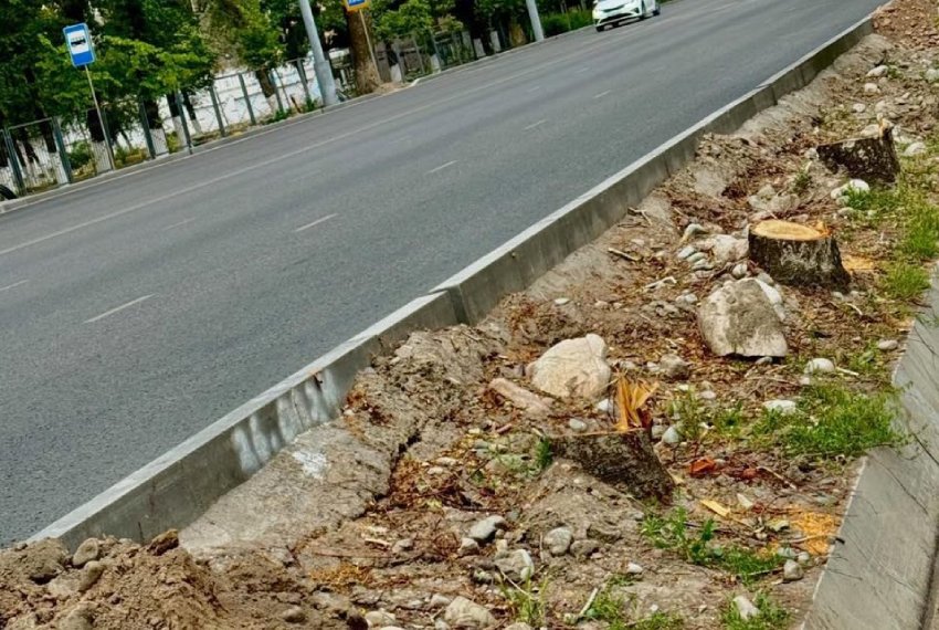 Вырубка деревьев на улице Байтика Баатыра