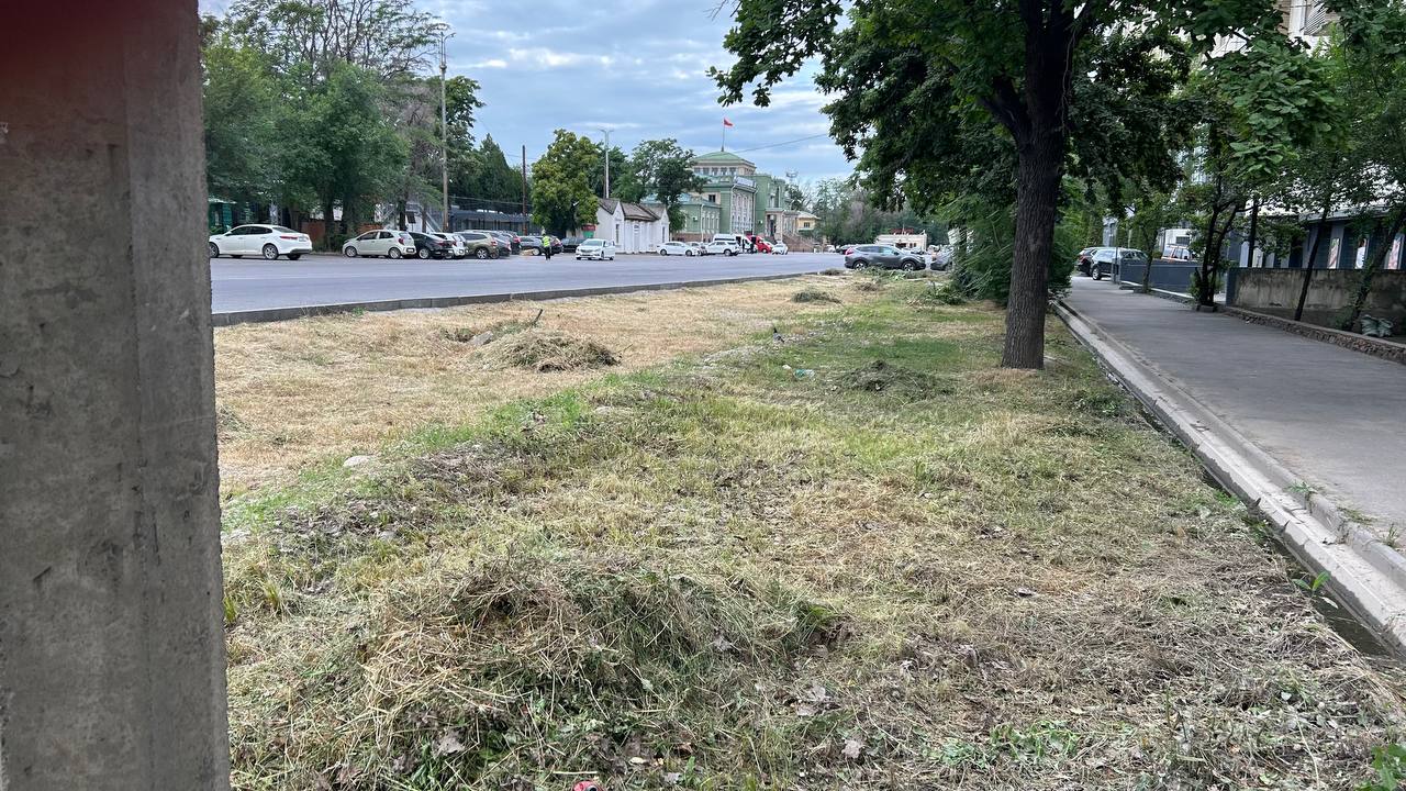 Лето только началось, а город уже засыхает