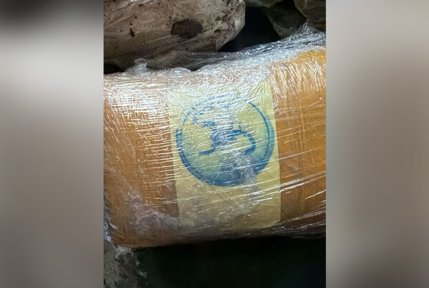 Крупный канал поставки и сбыта наркотиков, действовавший в Бишкеке, Чуйской и Ошской областях