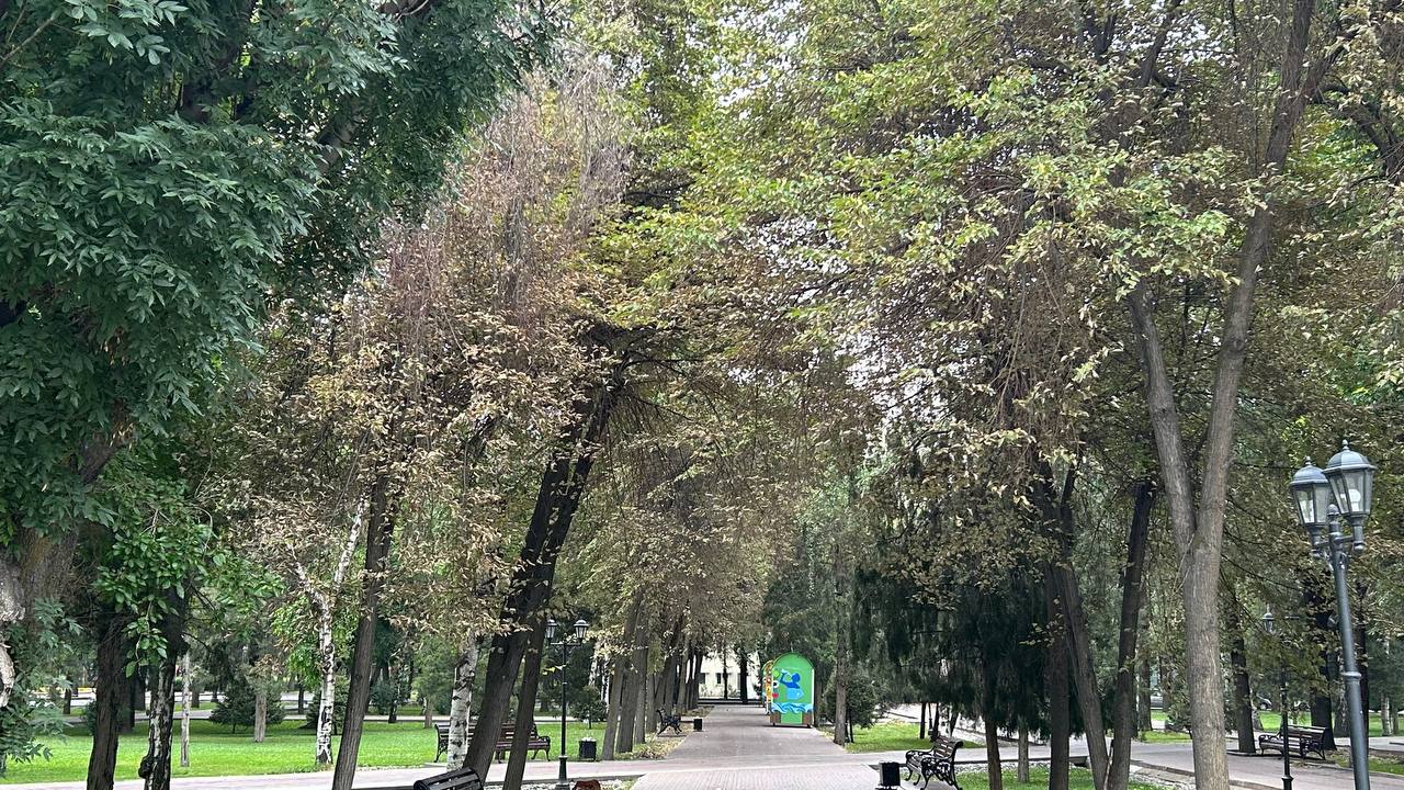 Сквер Дружбы народов, расположенный в самом центре Бишкека, засыхает