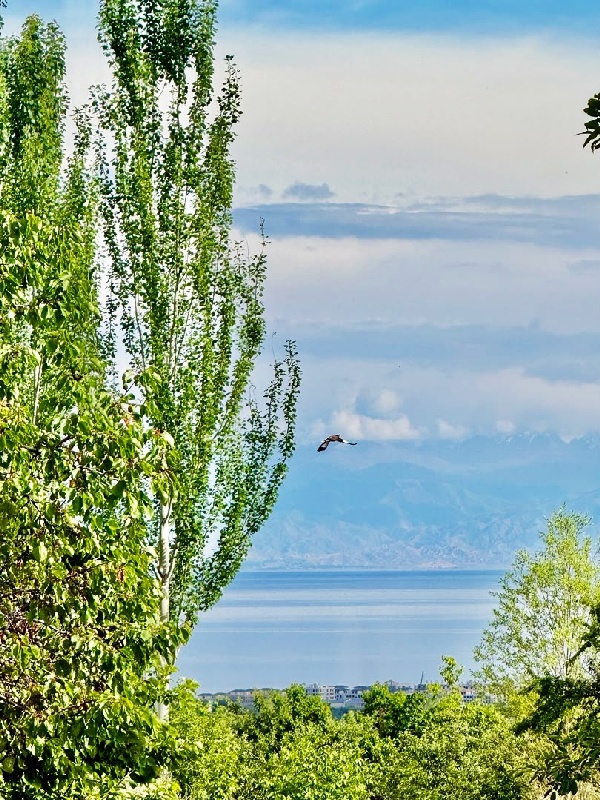 Село Кызыл-Суу, вид на Иссык-Куль