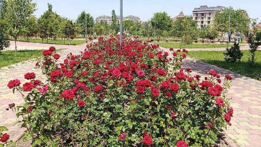 Бишкек, Парк «Ынтымак»