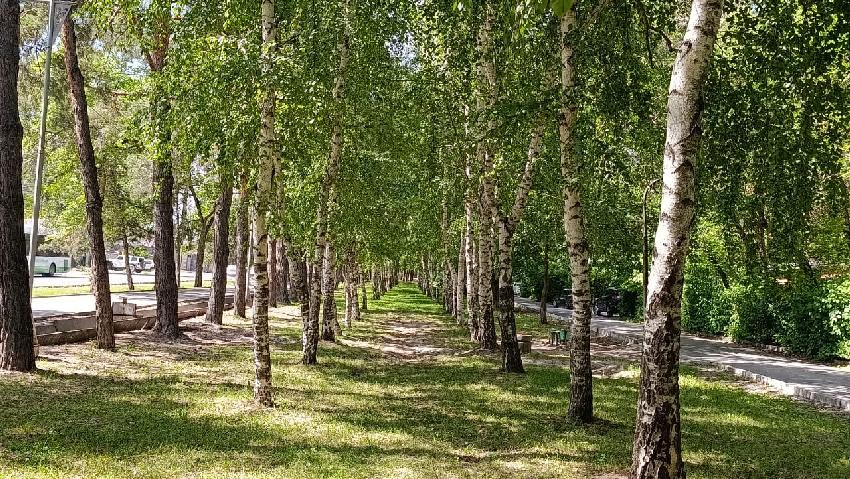 Бишкек, район городка Совмина