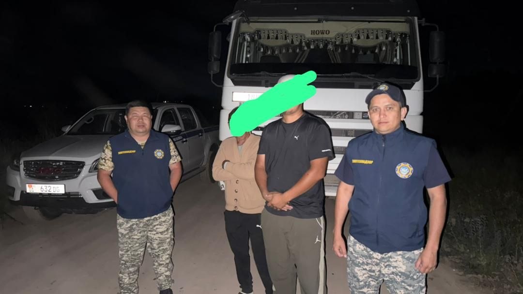 Добыча велась в лесополосе