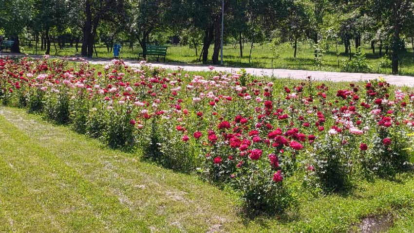 Бишкек, район городка Совмина