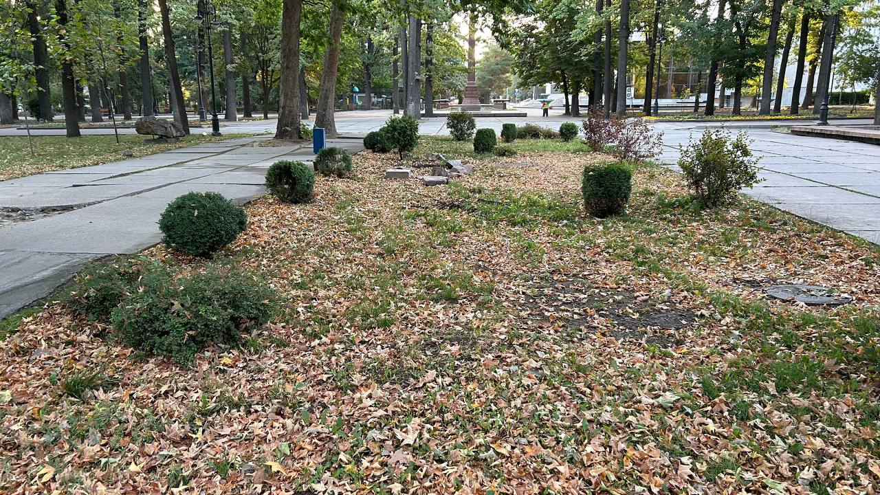 В Бишкеке погибает Дубовый парк