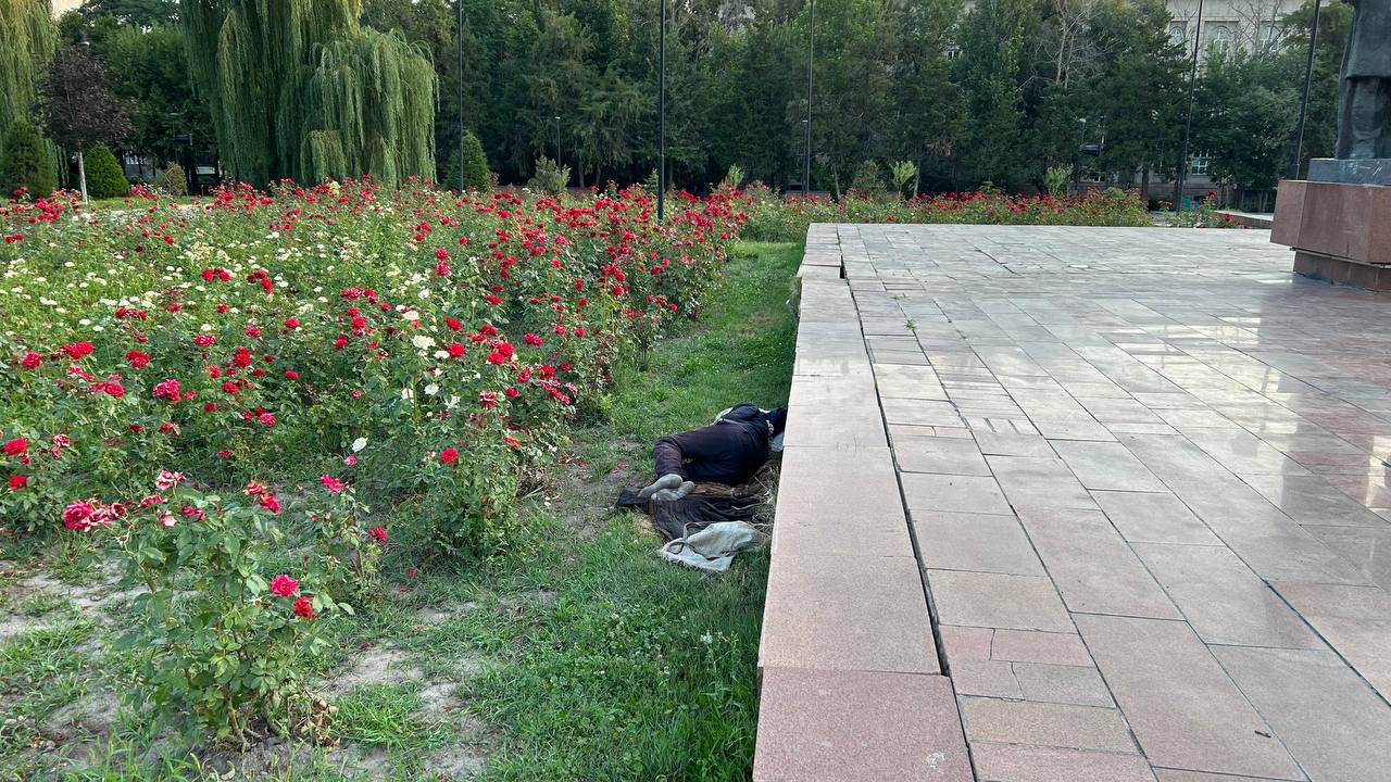 Бомжи превратили клумбу в свою ночлежку