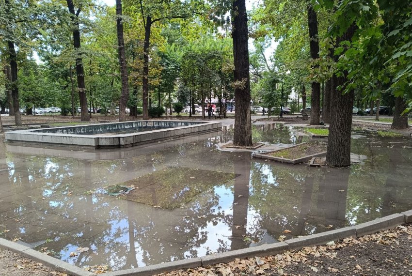 Нынешнее состояние Дубового парка, по словам эколога, связано не с одной причиной, а с комплексом ошибок в уходе