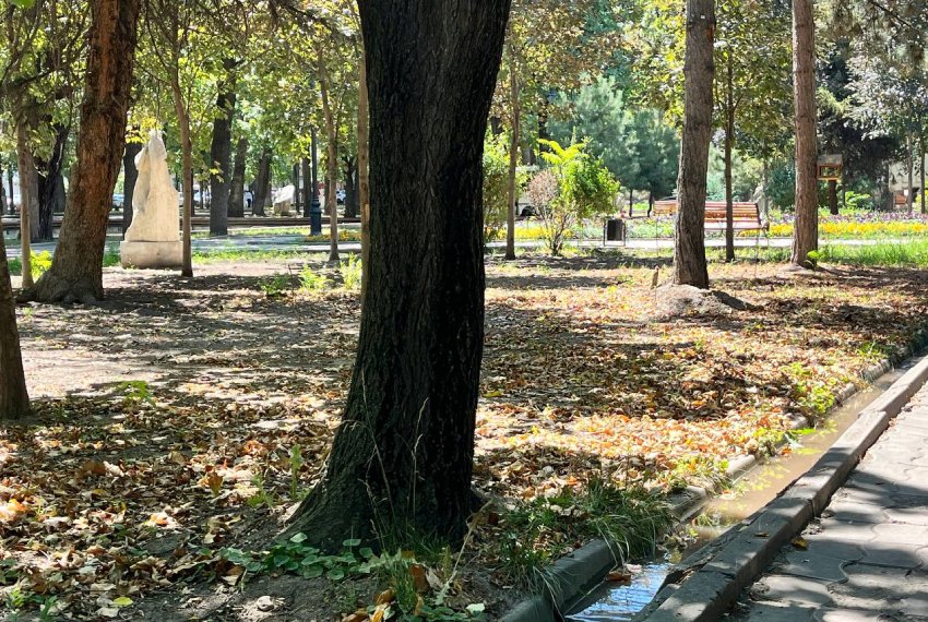 Нынешнее состояние Дубового парка, по словам эколога, связано не с одной причиной, а с комплексом ошибок в уходе