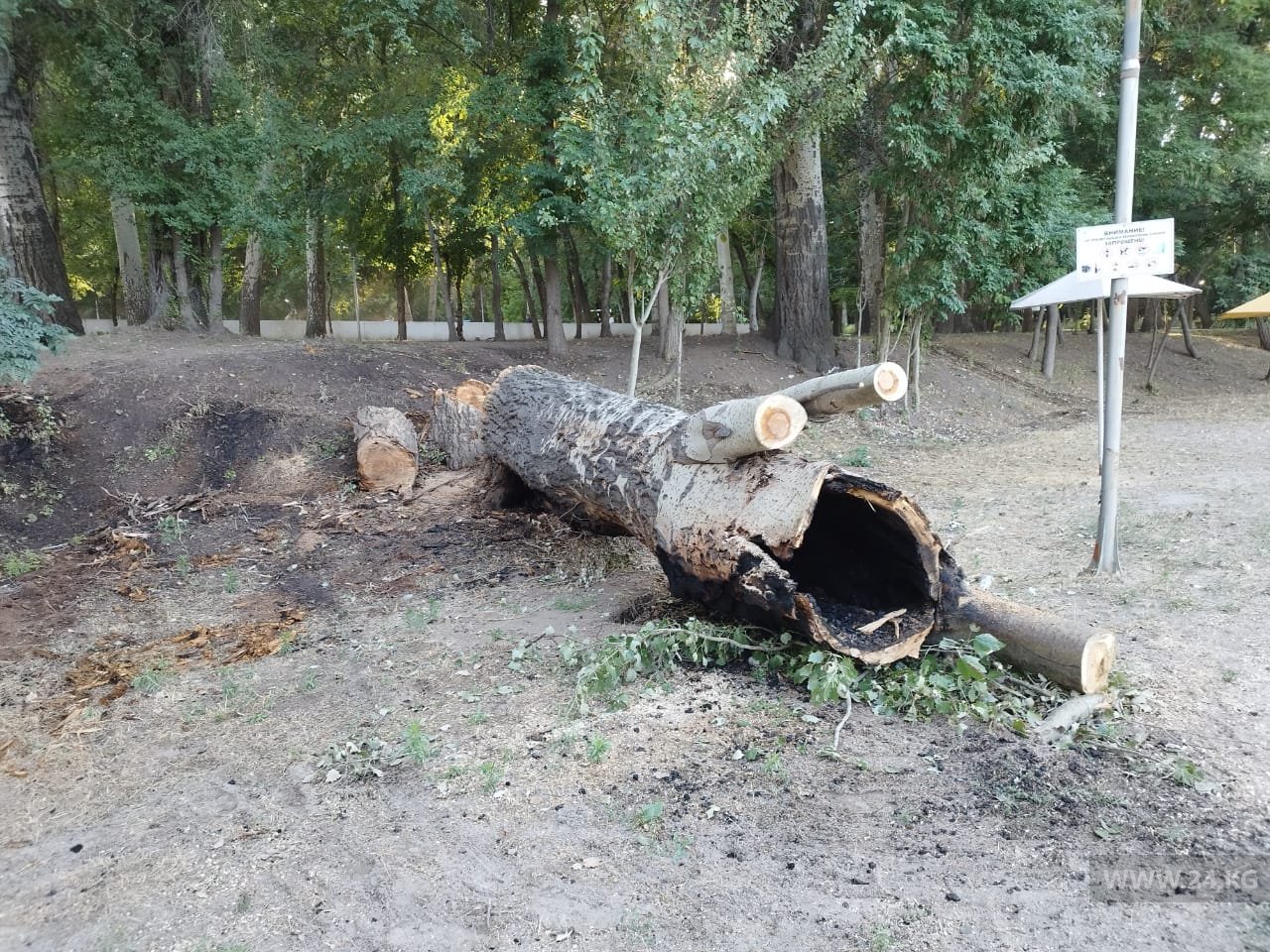 В Карагачевой роще