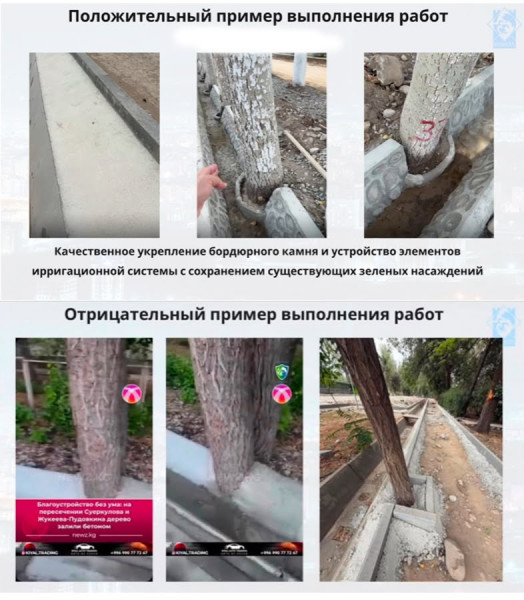 Положительные и отрицательные примеры выполнения работ