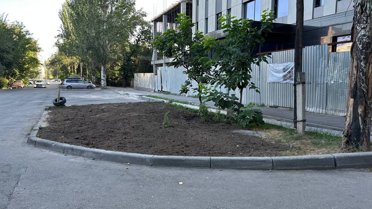 Городские службы попытались спасти газон