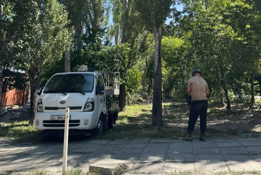 По словам очевидцев, одно из деревьев не успели полностью спилить. На месте остался поврежденный ствол