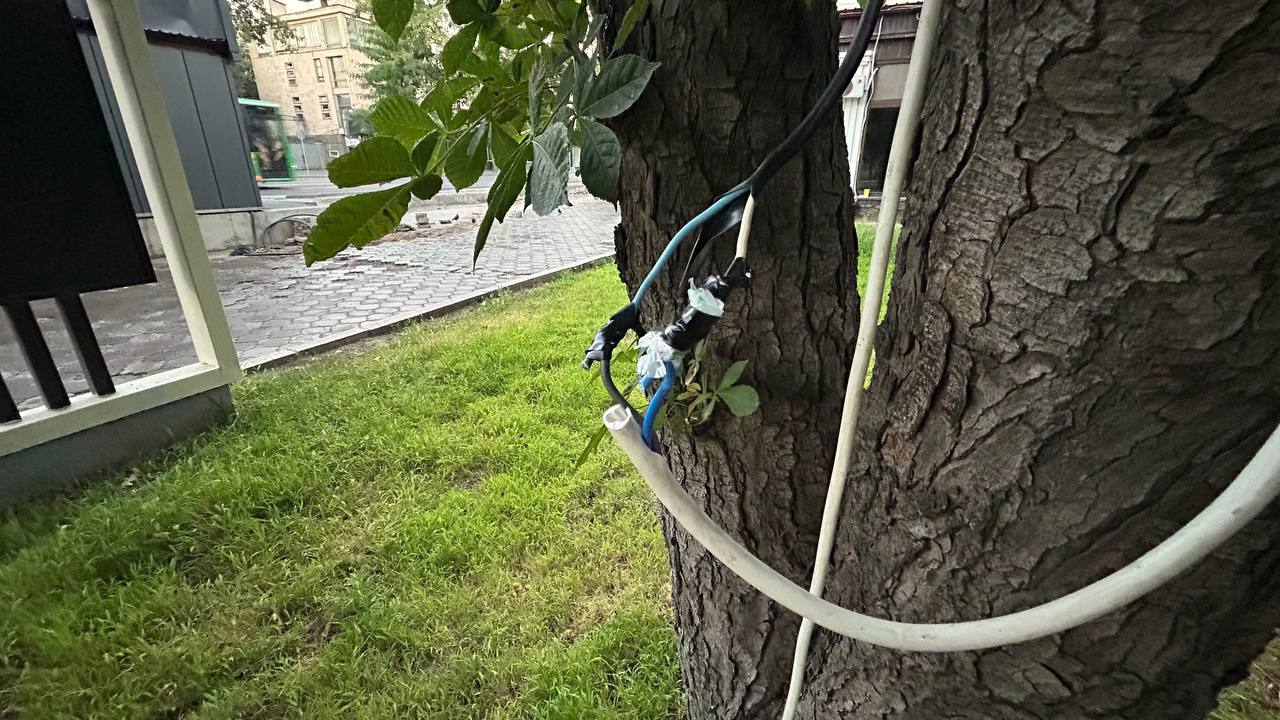 Провода в Дубовом парке и на бульваре Эркиндик